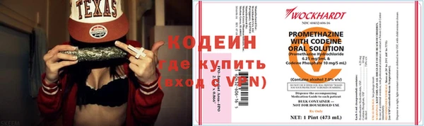 ешки Гусев