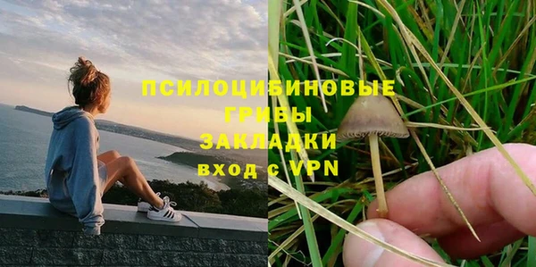 ешки Гусев