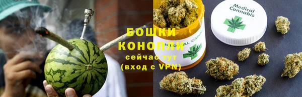ешки Гусев