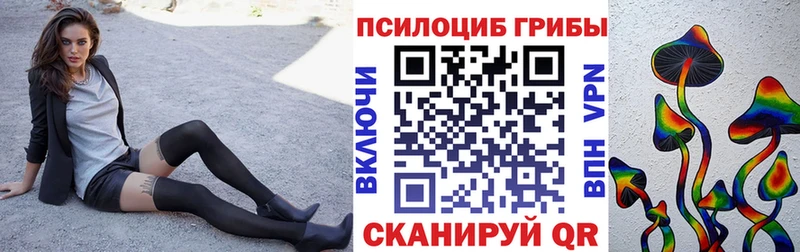 Купить  Красный Холм  Псилоцибиновые грибы MAGIC MUSHROOMS 