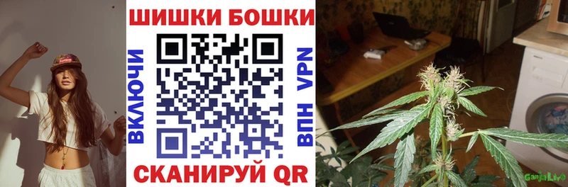 Купить закладки  Красный Холм  Конопля план 